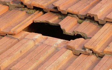 roof repair Woolfords Cottages, South Lanarkshire
